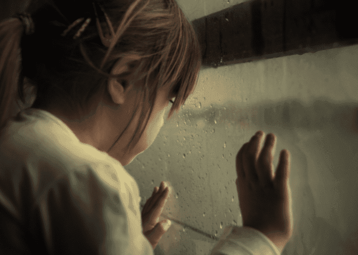 Hurricane Protection